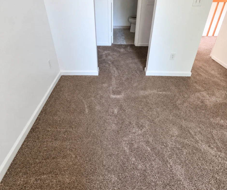 Popular carpet styles in Boulder, CO