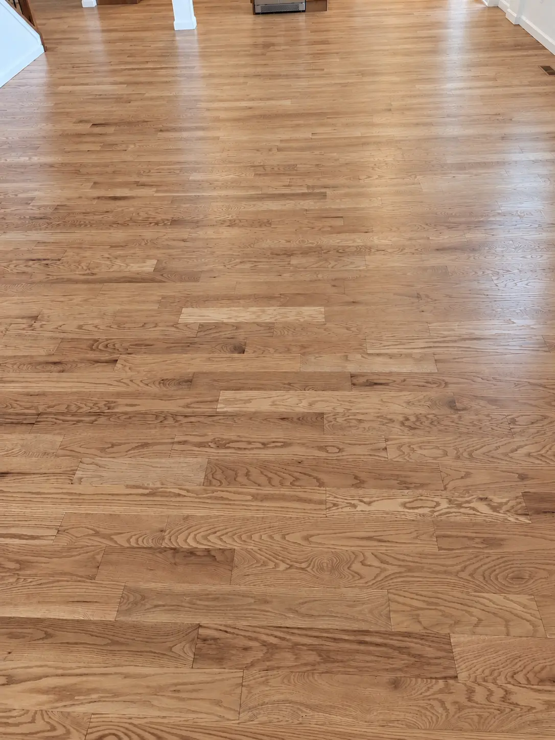 Refinished red oak hardwood floor in a living room